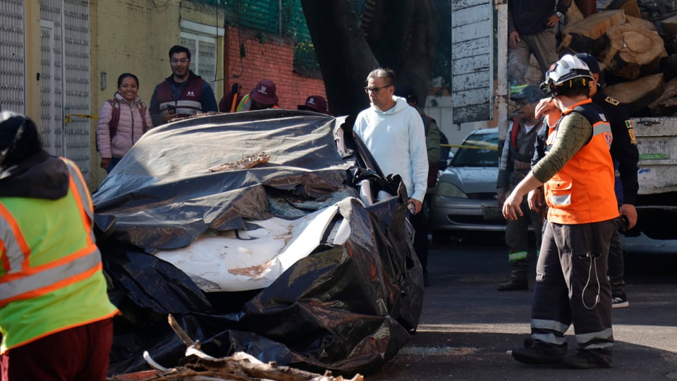SISMO, MEXICANO, EMERGENCIA, NACIONAL 