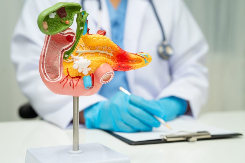 pancreas, salud, vida, habitos, prevencion