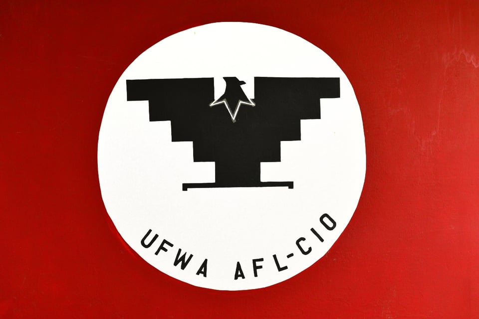 UFW, César Chávez, acusaciones MundoNOW