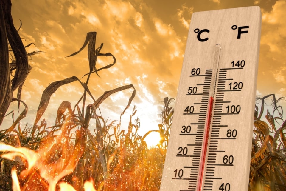 Calor amenaza al oeste