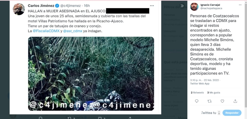 Body found Michelle Simon: How was she found?