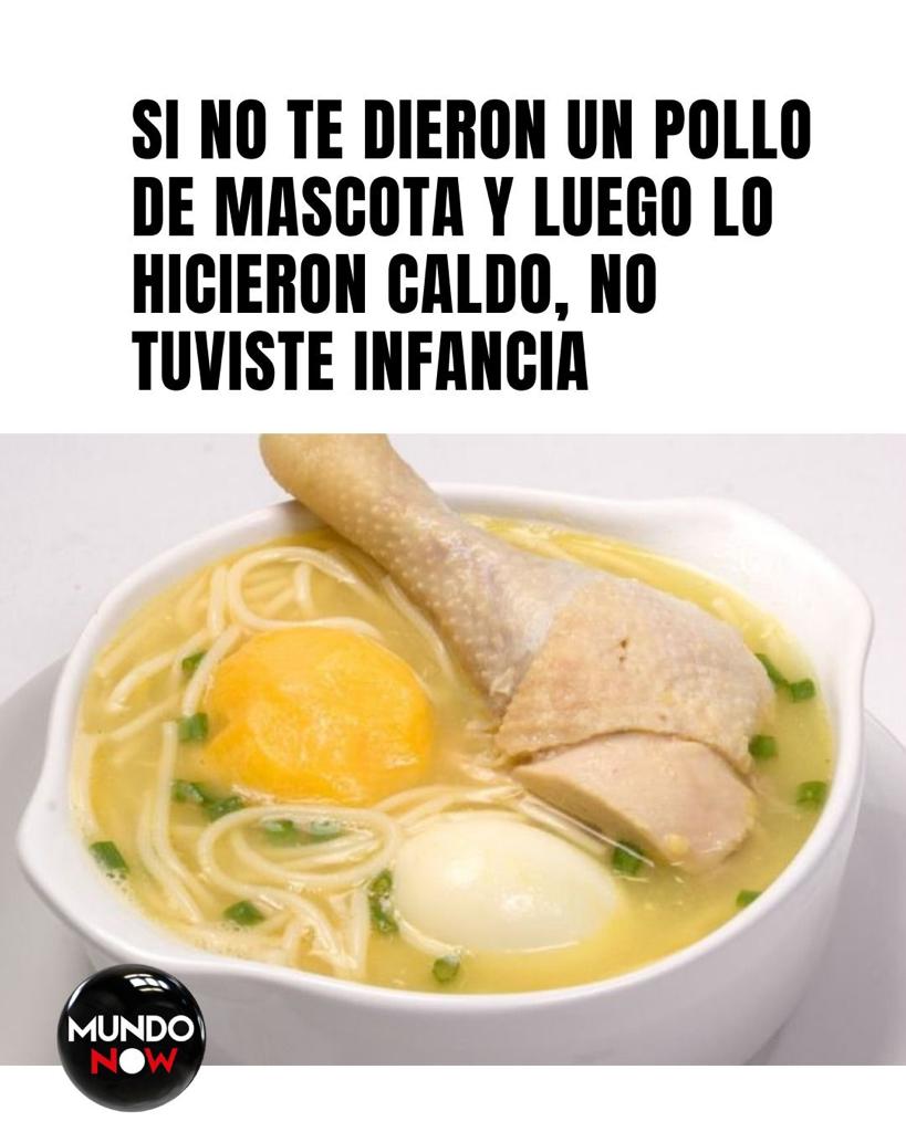 Mascota, caldo, pollo, verdura, infancia