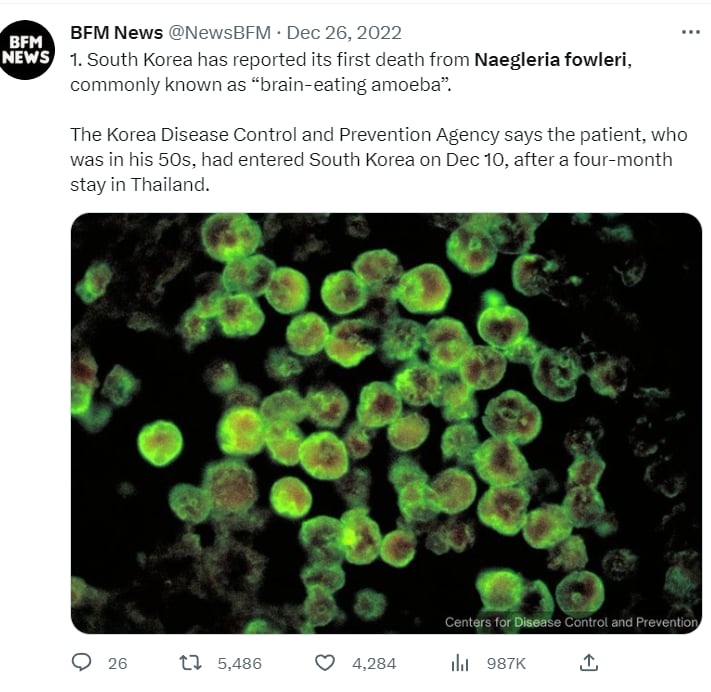 Man dies of amoeba infection: Few cases of infections?