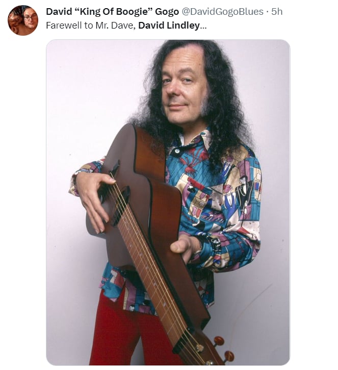 Muere músico David Lindley: ¿Quién era David Lindley?