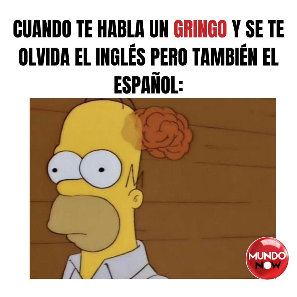 gringo, español, homer, olvidar, idioma