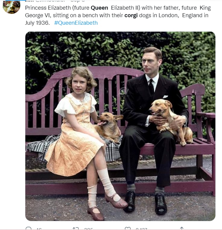 Reina Isabel II Corgis: ¿Por qué eran tan queridos?