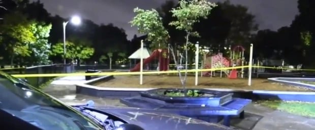 Ataque en Chicago: Fin de semana de terror