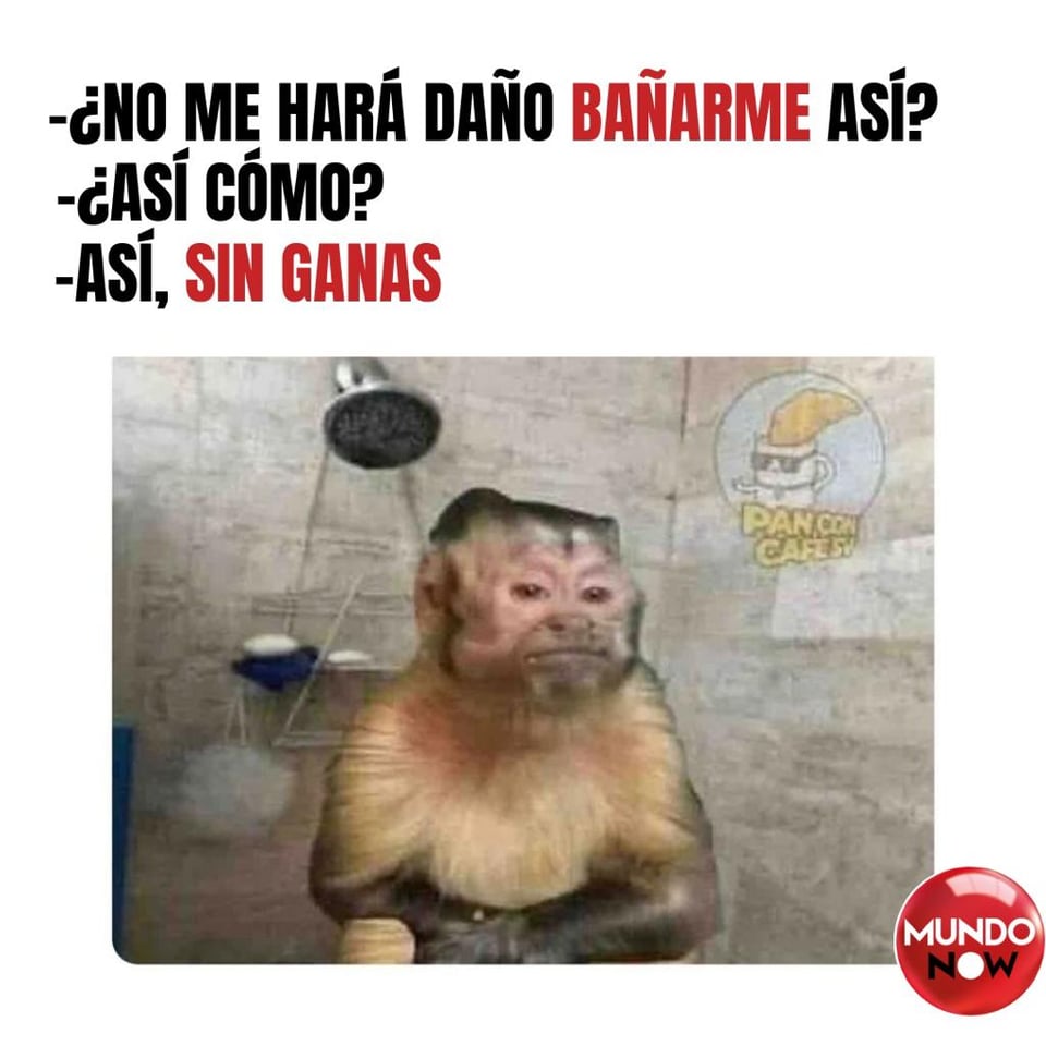 baño, mono, ganas, regadera, agua