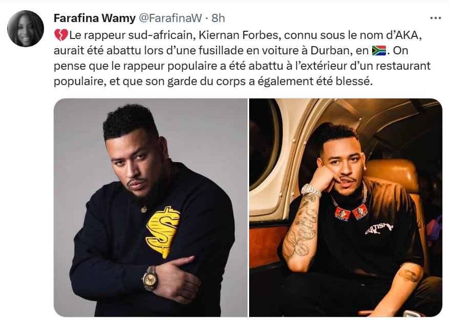 Crimen artista