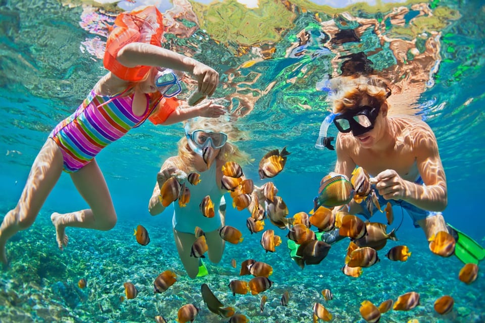 family, snorkeling, fish, coral, Maldives
