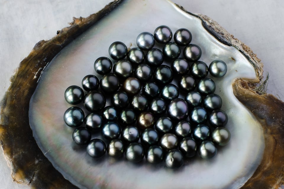 procedure, men, women, pearls, MundoNOW