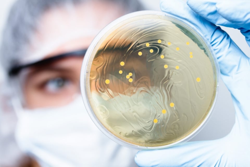 Precauciones, expertos de salud, médicos, investigación, contagio