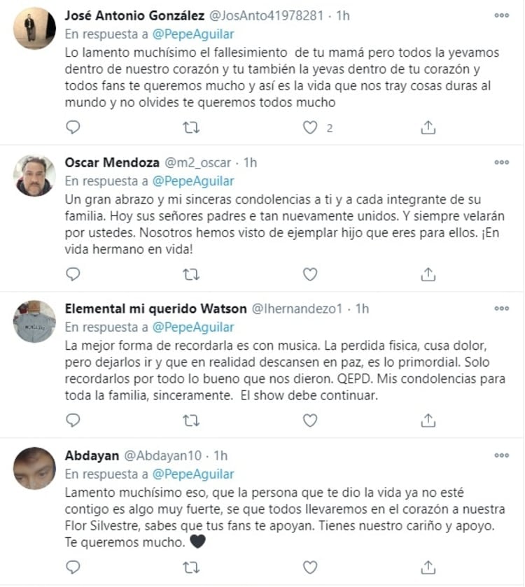 Pepe Aguilar in mourning 3 Angela Aguilar TikTok