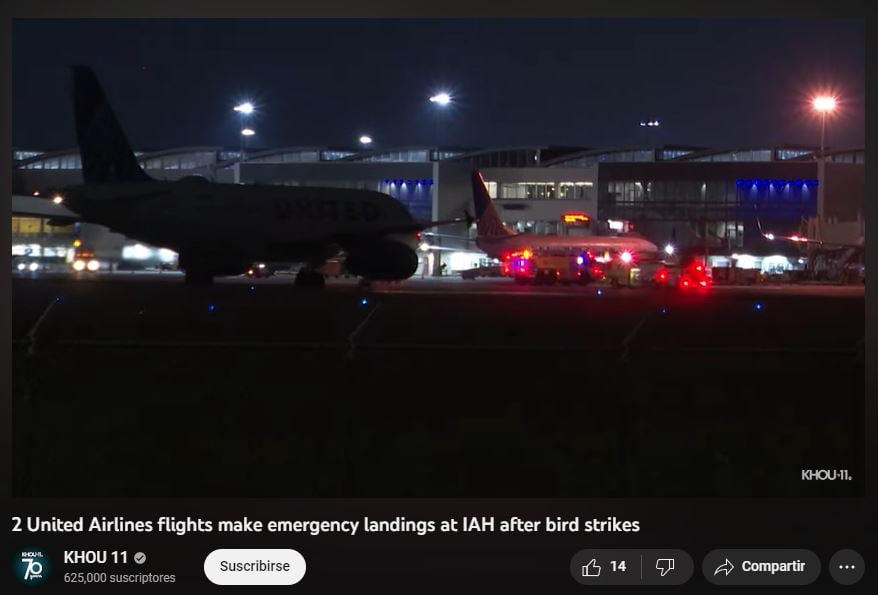 Dos aviones comerciales colisionan con aves en Texas