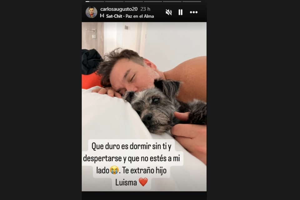 Periodista, Mascota, Muerte, Telemundo, MundoNOW