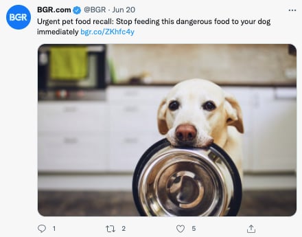 pet food recall