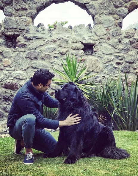 Carlos Rivera muerte perro