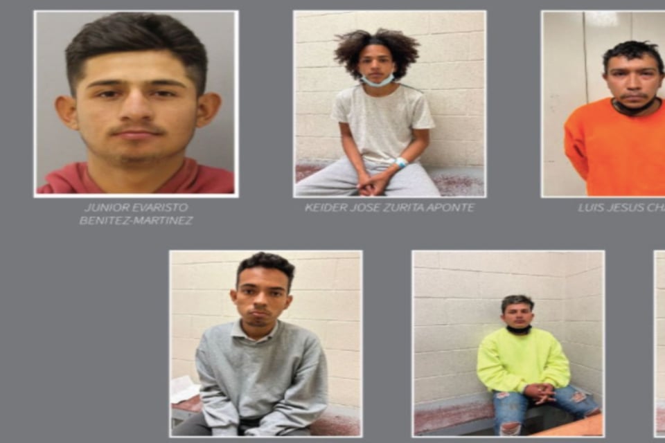 ICE, immigrants, migration, police, border