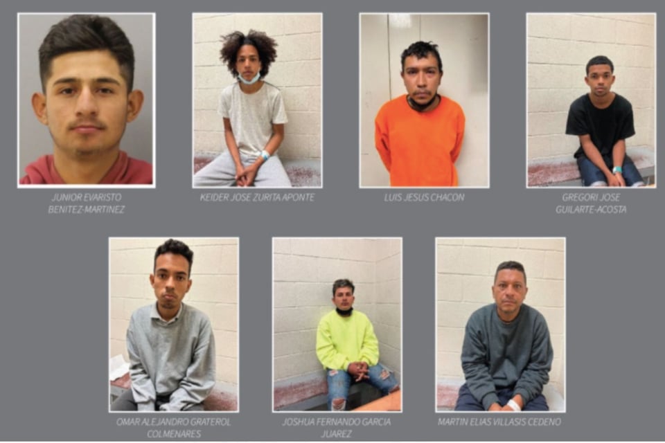 ICE, immigrants, migration, police, border