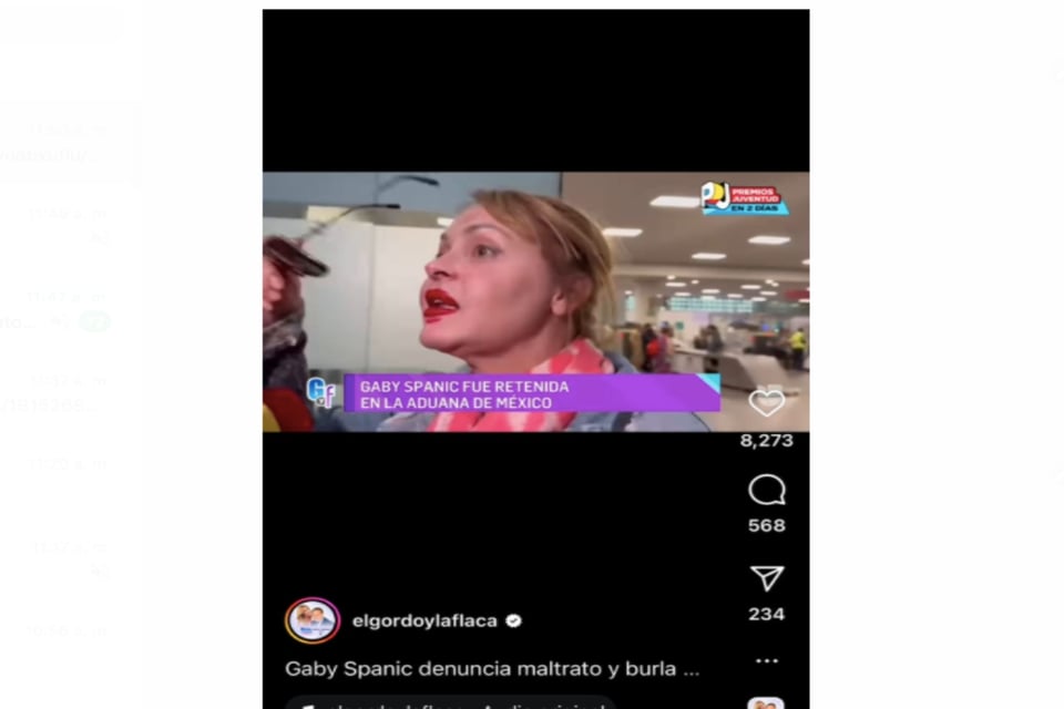 Gaby Spanic, televisión, aduana, México