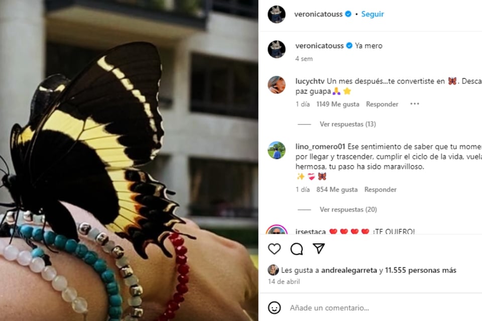 Espectáculos, Enfermedad, Salud, Diagnóstico, Homenajes