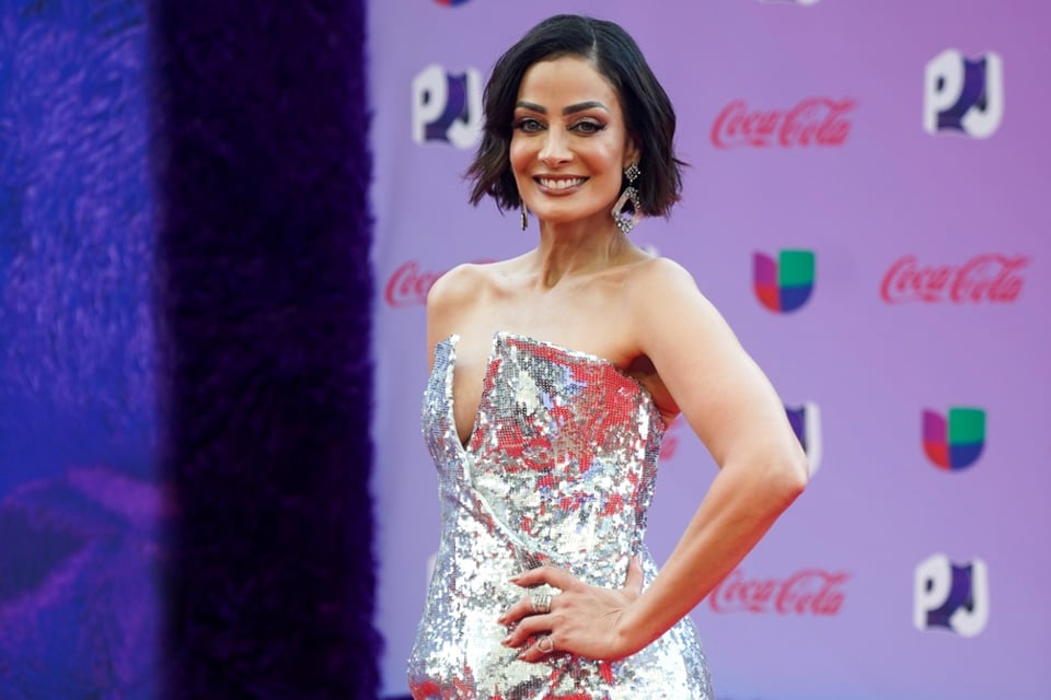 Dayanara Torres, Puerto Rico, modelo, familia, accidente