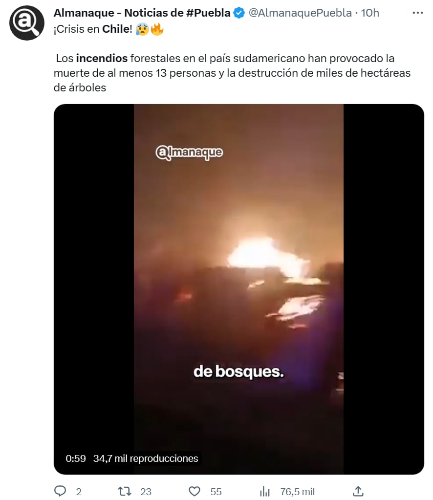 Llamas bosque