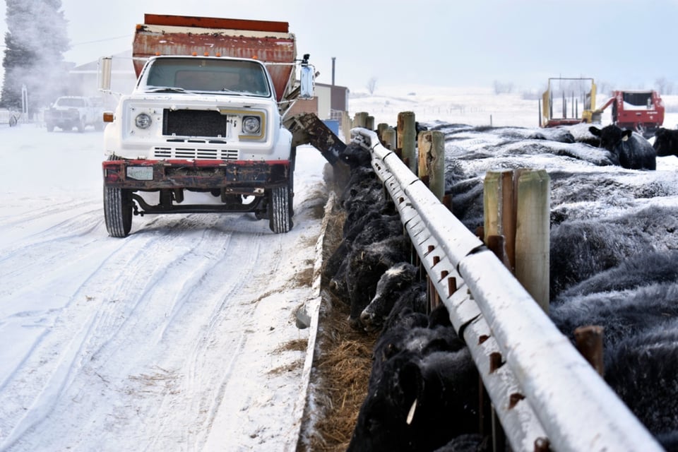 automovilistas, nevadas, condiciones climáticas, impacto, acumulaciones,