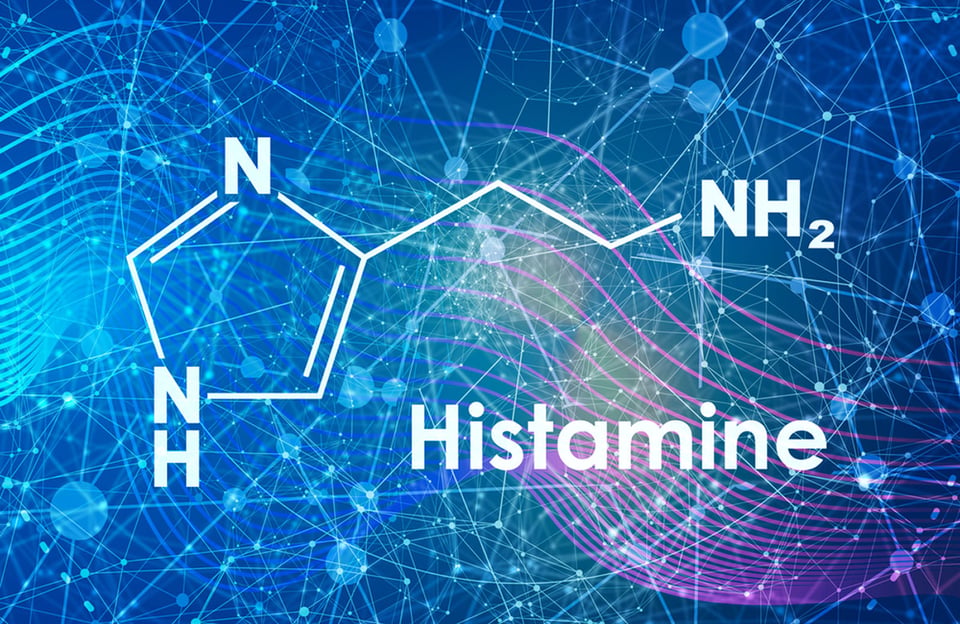 histamines diagram