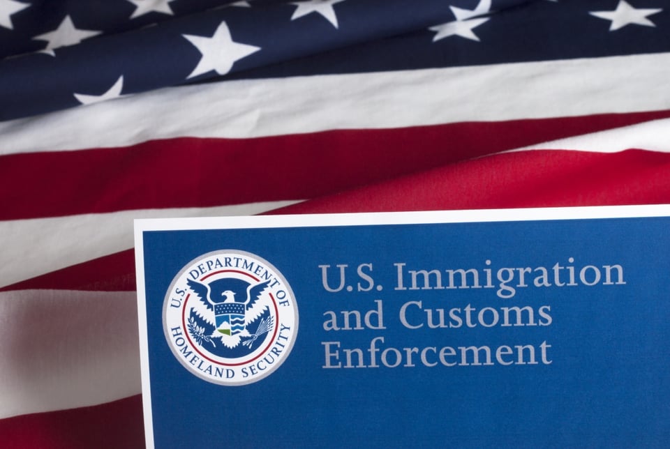 ICE arrests 171 immigrants, United States, Immigration and Customs Enforcement, Deportations, Criminal records