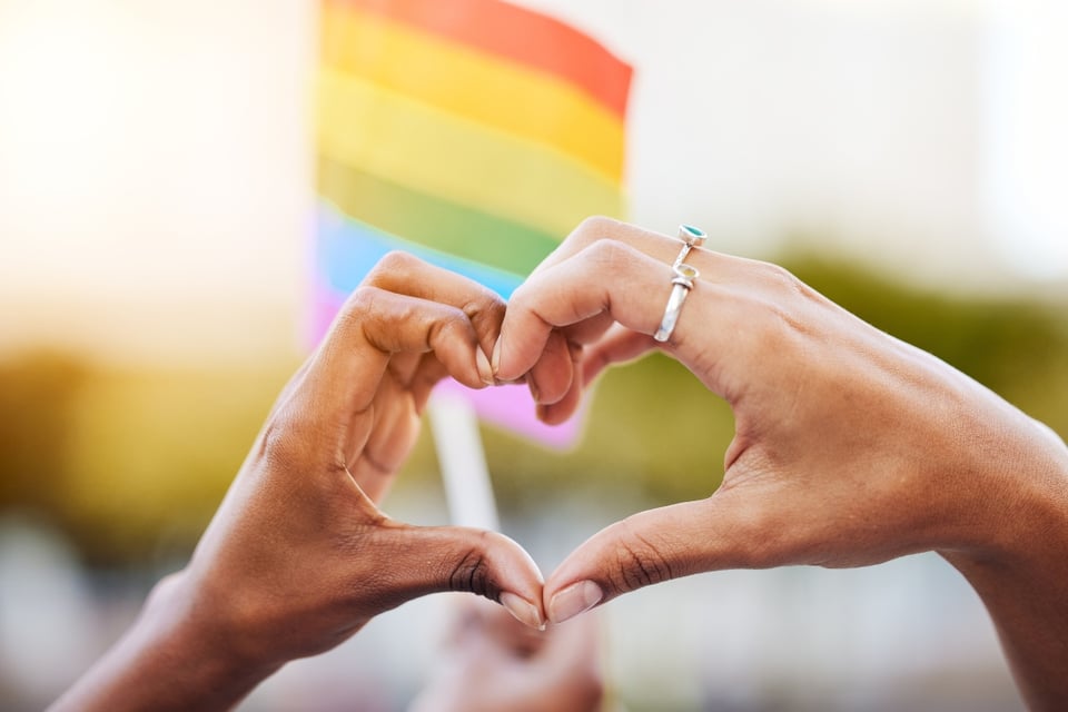 Don't Say Gay Law, USA, United States, Roberta Kaplan, MundoNOW