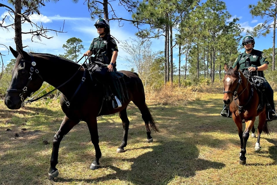 noticias, Madeline Soto, rastro, Town Loop Boulevard, Hunter's Park Lane, MundoNow