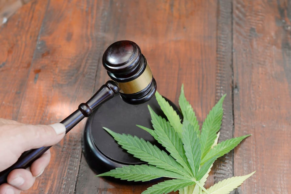 juez, leyes, tribunal, Salud, MundoNOW