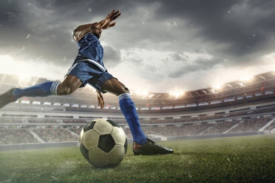 jugador, entrenador, coordinador técnico
