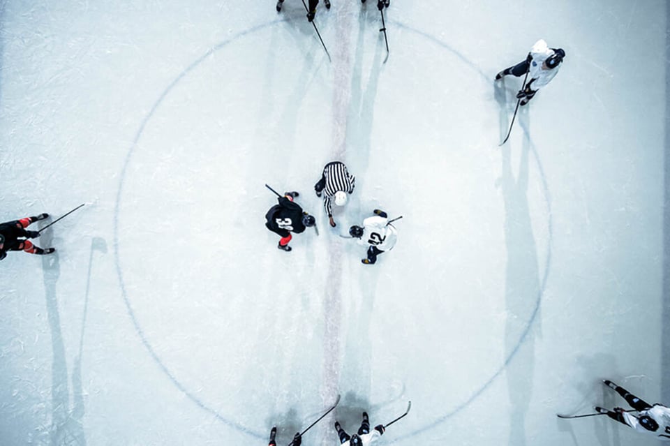 nhl fantasy league, hockey team, ice rink, aerial view