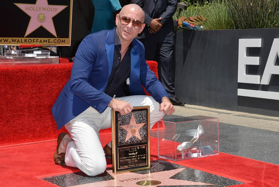 Miami, rapero, internacional, superestrella, la música de Pitbull