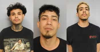 Officers found a gun in the car.