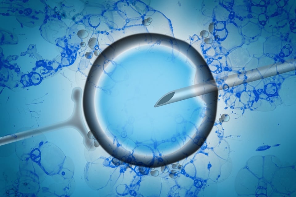 Assisted reproduction of gay couples, artificial insemination, AI, donor, MundoNOW