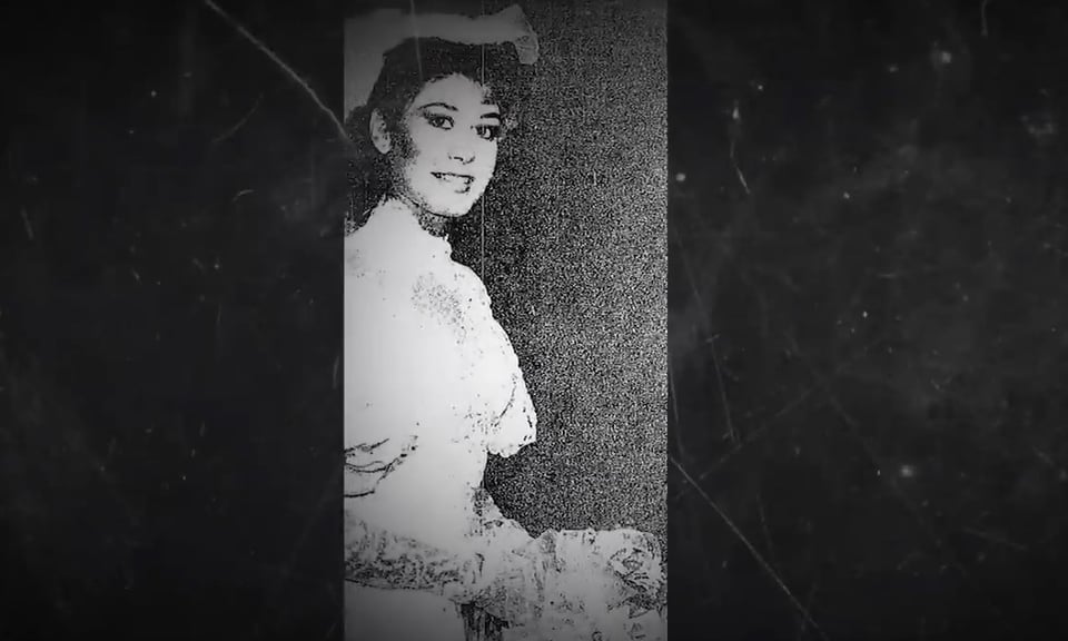 Arellano Félix:,historia, cambios, Cártel de Tijuana , liderazgo femenino.