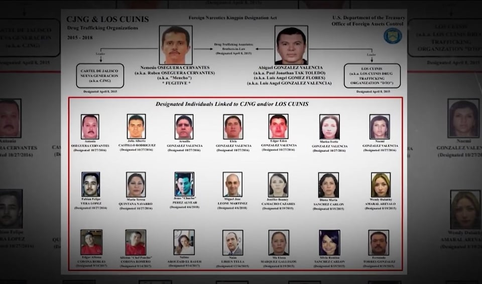 Los Cuinis, drug traffickers, money laundering, organization, drug world