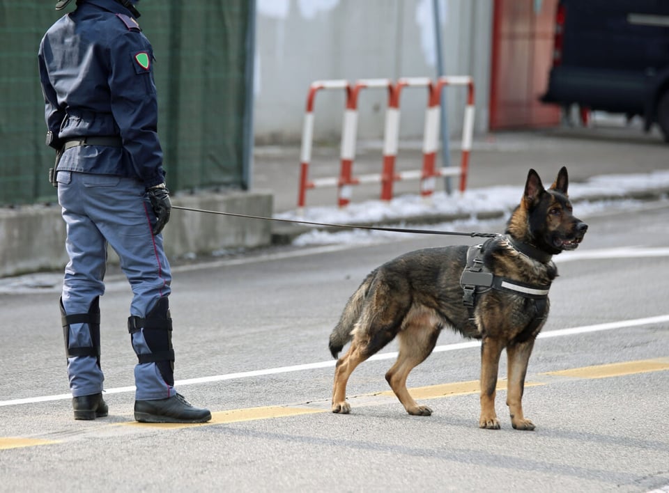 Police dog, K-9, Guard, MundoNow, Podcast