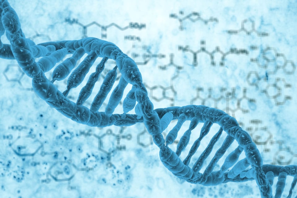 Weight Loss, DNA, Heredity, MundoNow, Podcast