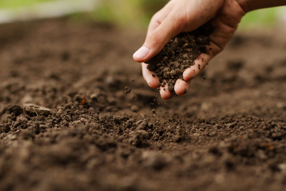 Earth, Hand working, Field, MundoNow, Heat