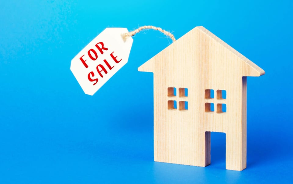 Wooden house, House for sale, Advice, Inspection, MundoNow