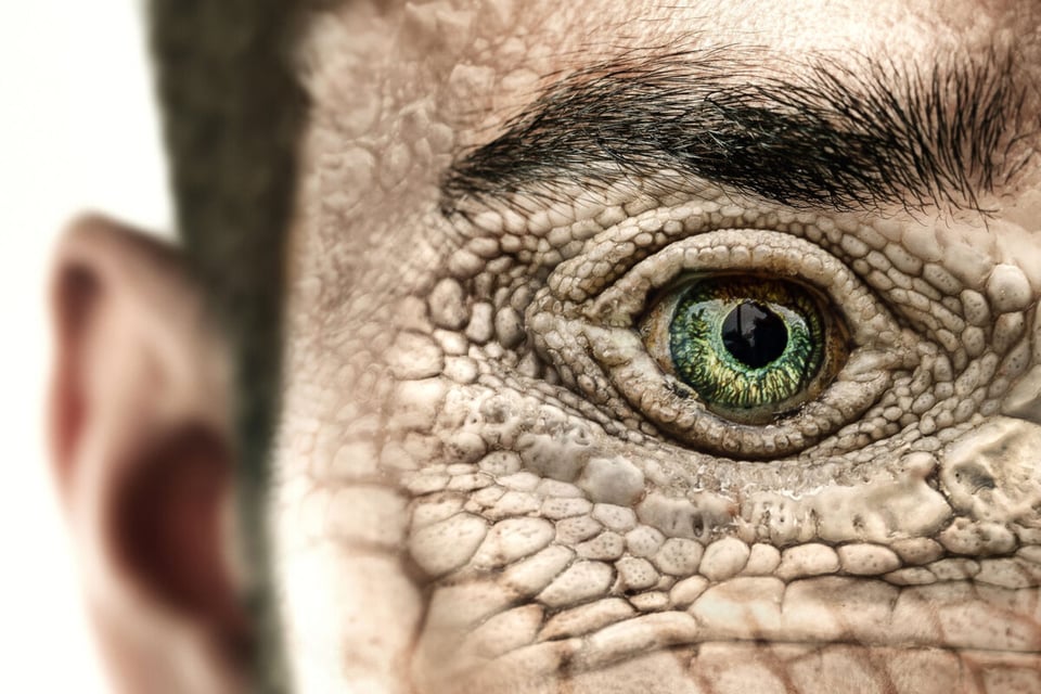 A close up of a reptilian human face