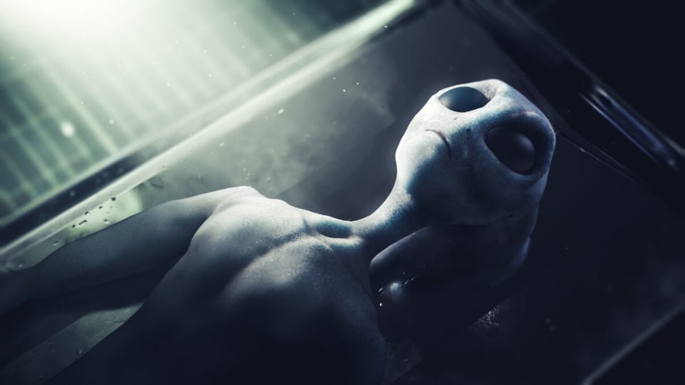 The body of an alien as an idea of Roswell incident