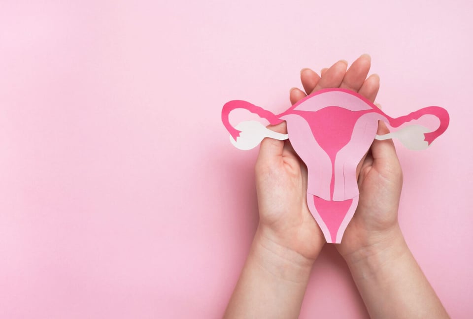 Aparato reproductor femenino, Ovarios, Mujer, MundoNow, Podcast
