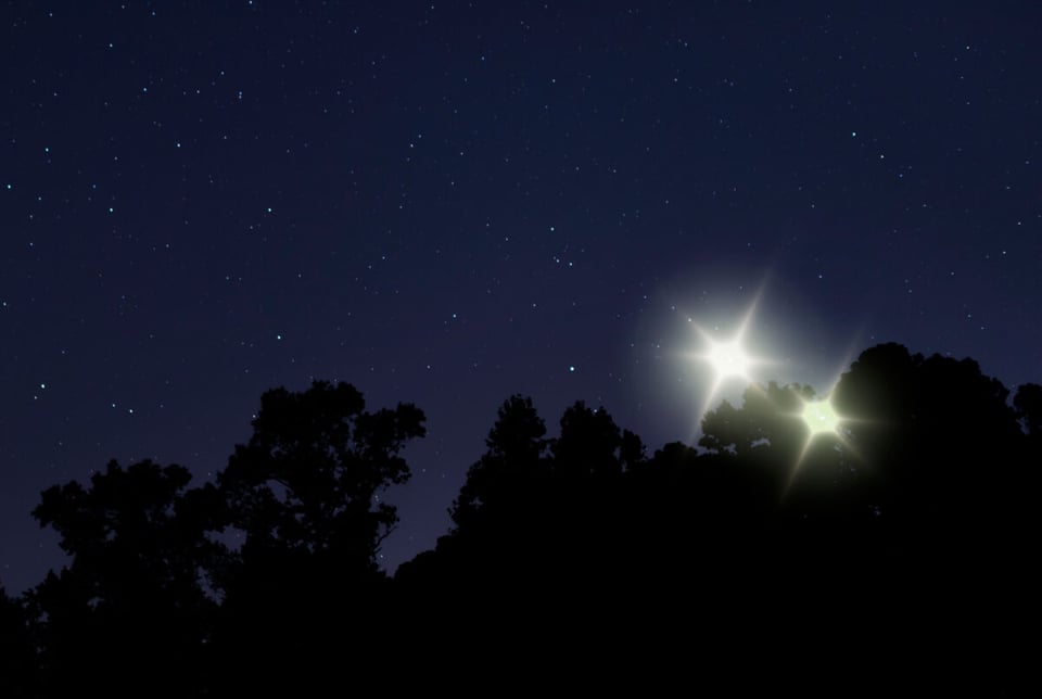 Lights, Stars, Forest, Night, MundoNow
