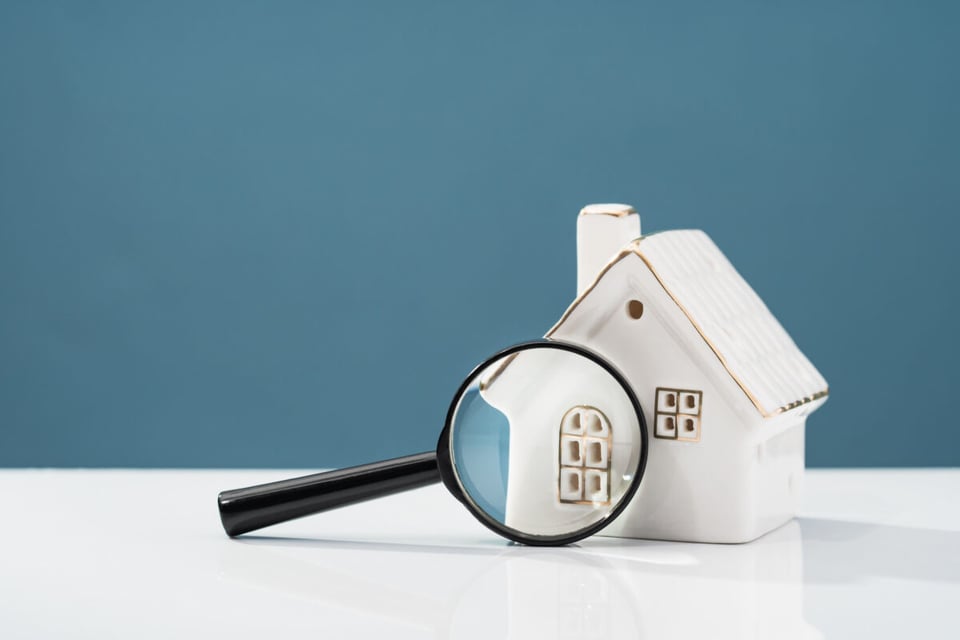 Casa, Ayuda, Inspector, MundoNow, Mantenimiento