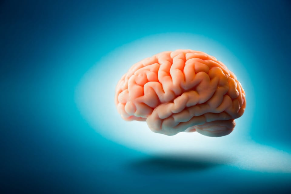 Brain, Blue background, Digital drawing, MundoNow, Podcast